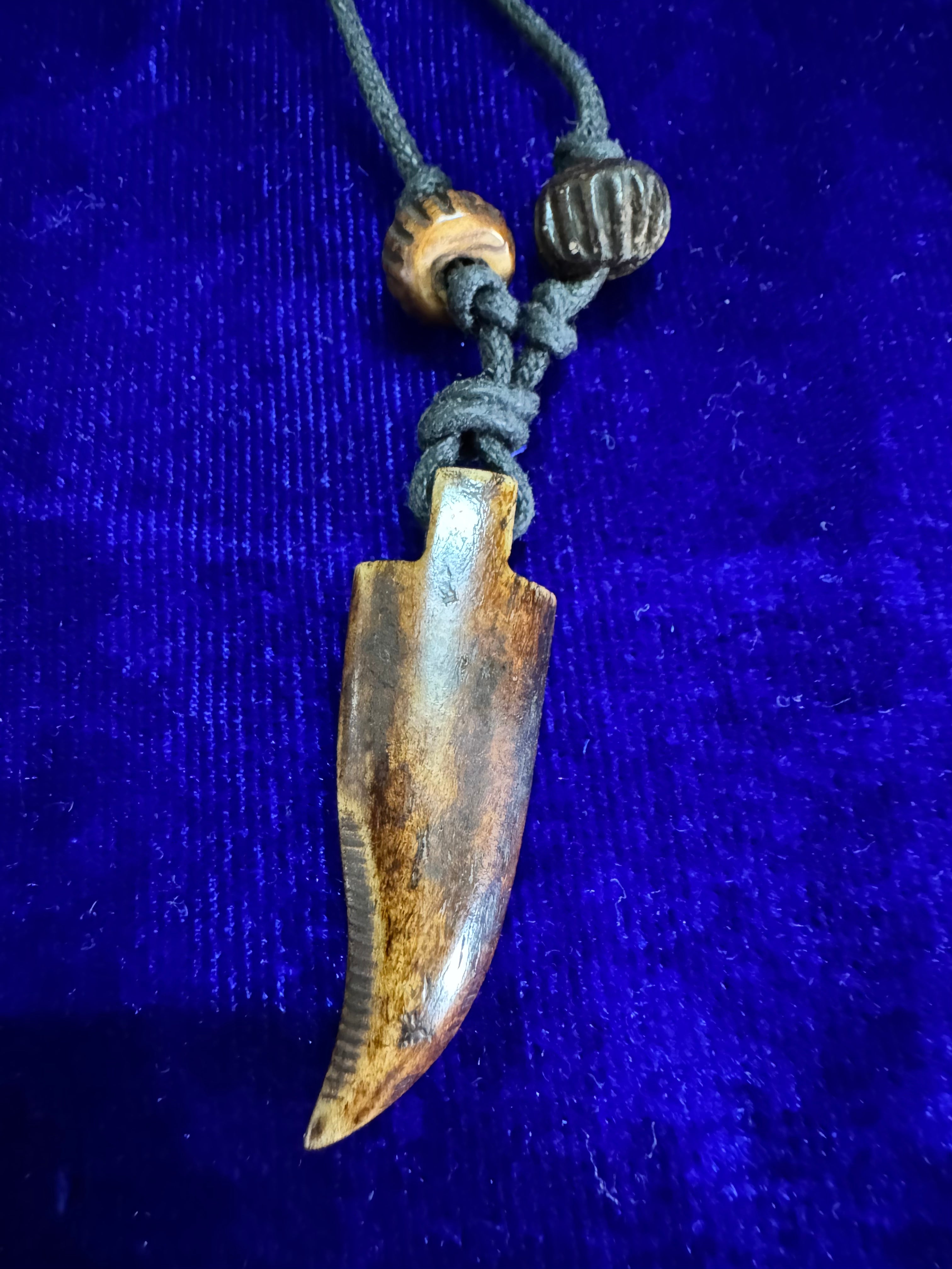 Desert Fang Bone Pendant