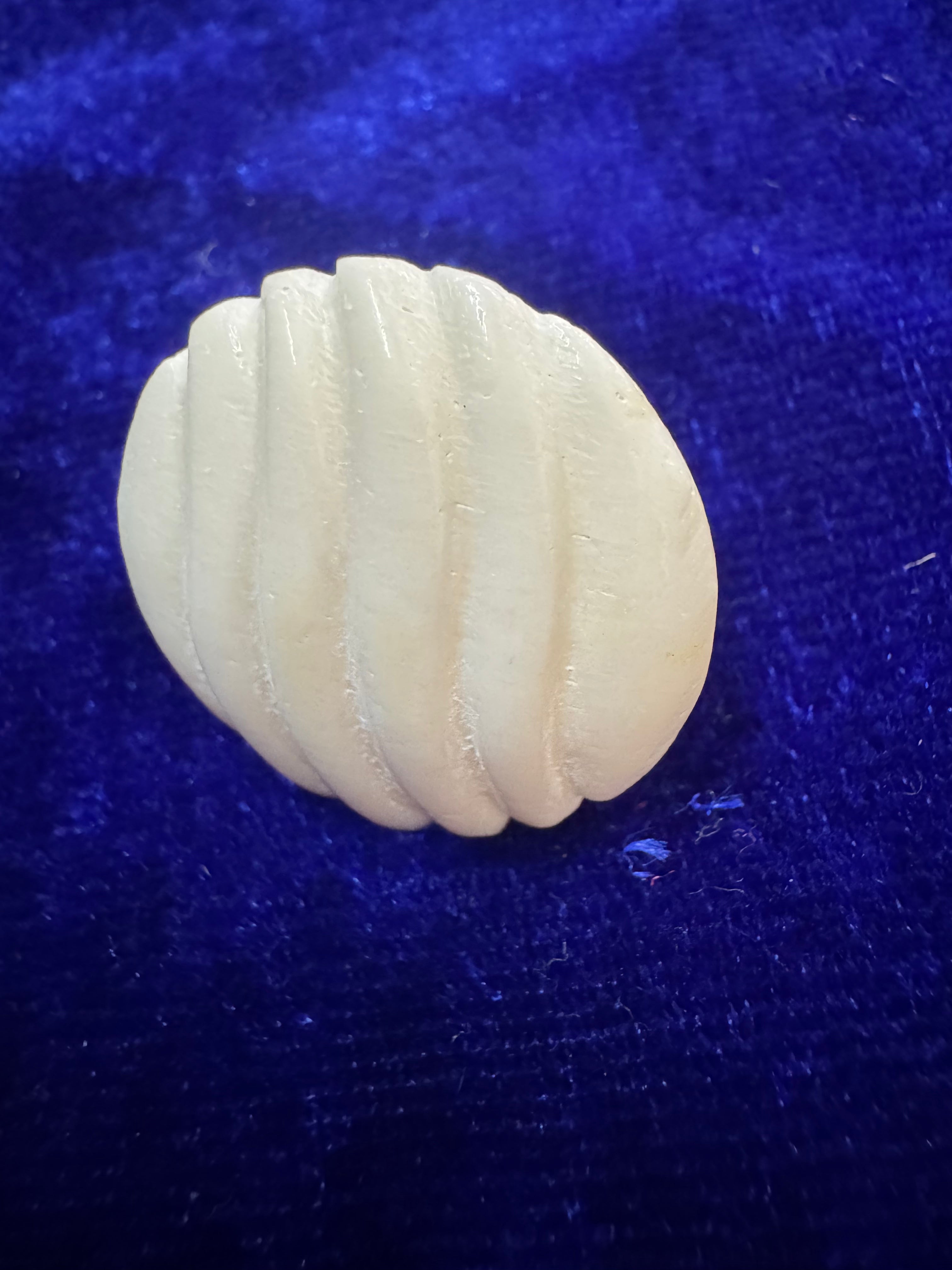 Lunara Shell Studs Earrings Bone