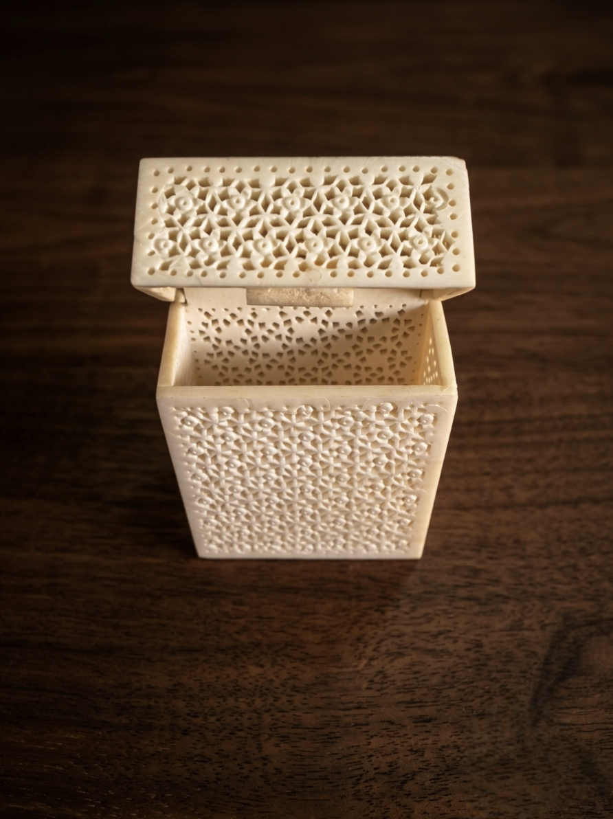 Velorune AsterLattice Bone Card Casket